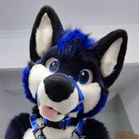 Luka ➡️ UTFG 🇹🇼 (@lukathefox) 's Twitter Profile
