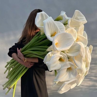 Sa75Q's profile picture. 