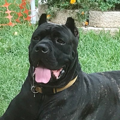 Jacquel92467041's profile picture. 