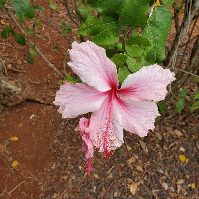 plr_64's profile picture. 