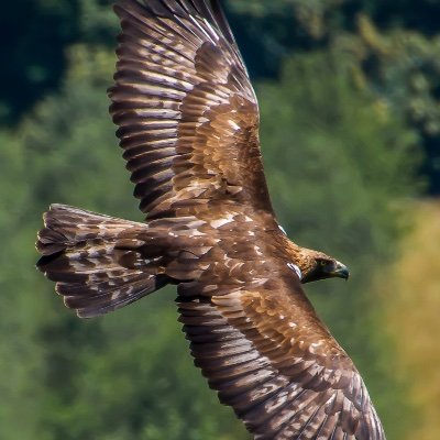 giveittime9's profile picture. 