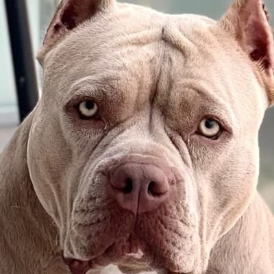 NorapatyF's profile picture. Dios nunca llega tarde, llega justo a tiempo.