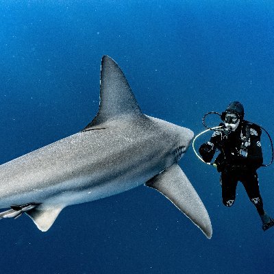 Wife, Mom, retired entrepreneur, master diver, adventurer. This is a journal of my travels. Instagram: @jillyoung2024