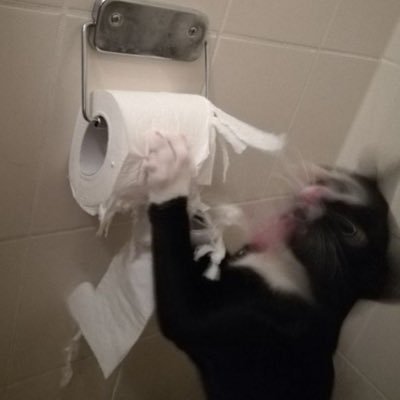 4luckyclove's profile picture. 