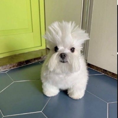 Koby90004476091's profile picture. 18 (07)