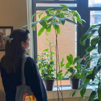 Amanda Lau (@amanditalauc) 's Twitter Profile