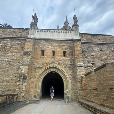 young_king333's profile picture. Florida 🇺🇸