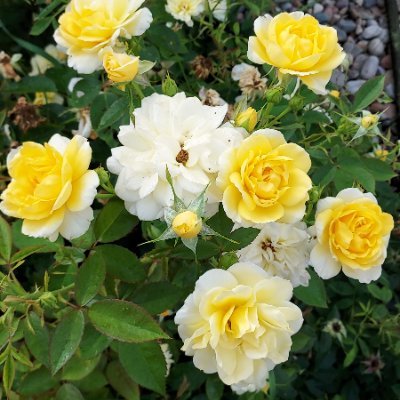 michel89618's profile picture. 