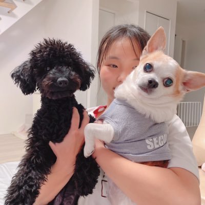 Twitter始めました！
