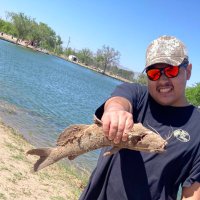 Ronald Harding (@rharding_ams) 's Twitter Profile Photo