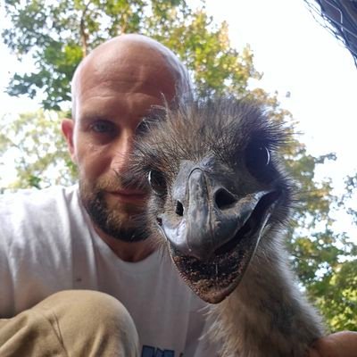 nyjetswin2009's profile picture. jets mets knicks fan and cancer survivor guess those are all the same tho 🤣🤣