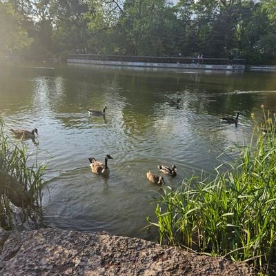 Mledesma1625758's profile picture. 