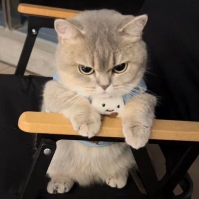 MSabastians's profile picture. Forza Italia