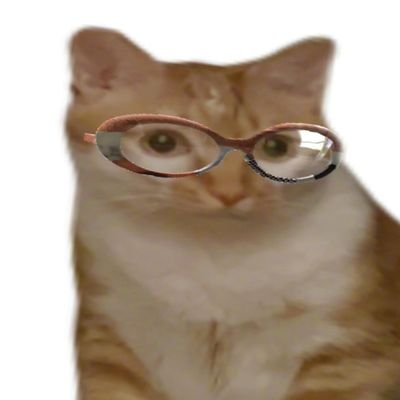 qngjnjnyngbow1's profile picture. 