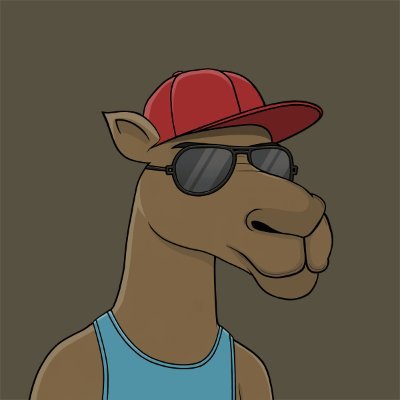 @camelsnft | Your favorite snarky reply guy. | Tag for a snarky reply. | Don't get offended; it is what it is.