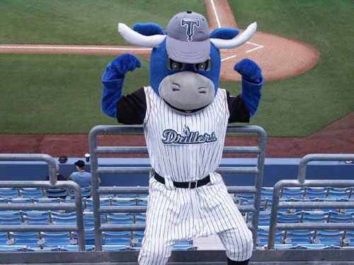 Minor League Baseball