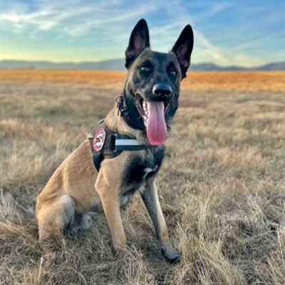 RapturedOne777's profile picture. Jesus is King, US Patriot, 1A 2A, #MAGA, 🇺🇸🇺🇸🇺🇸 Truth will come out, Trump is Commander and Chief #IFBAP #LGB Callsign Rapture •Mal Owner