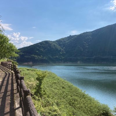 muutarousano's profile picture. 現もまた夢