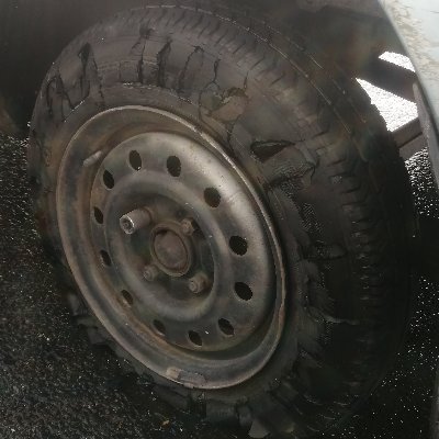 Kop_is_plat's profile picture. Question ABSOLUTELY everything....