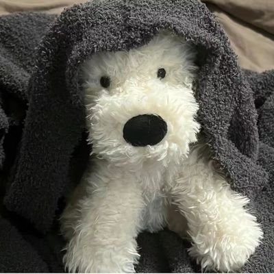 lzs3335447539's profile picture. nothing