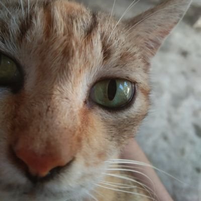 bastartime's profile picture. 27