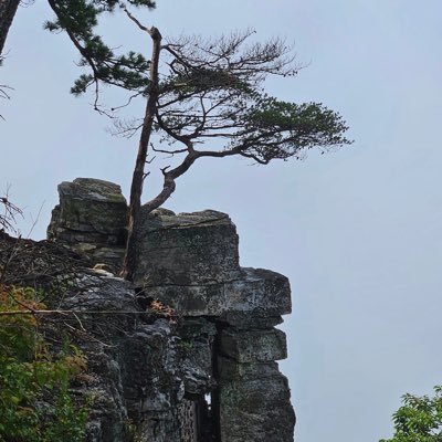 Godcan221's profile picture. 