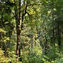 Kailey Jordan - @KaileyJord63690 - Twitter