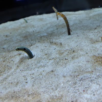 mikan21809's profile picture. 