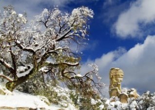 PANTANO2's profile picture. 