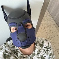Puzzle (@puzzlethepuppy) 's Twitter Profile