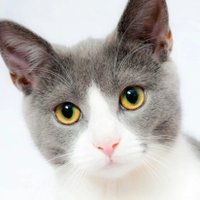 00 (@k4tx8a) 's Twitter Profile
