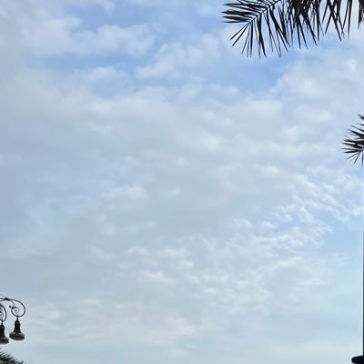 saraha1__'s profile picture. .