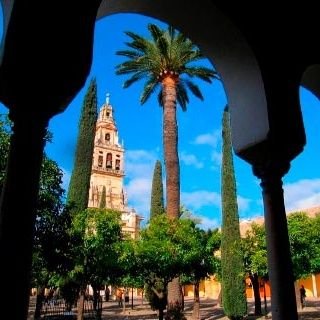 Me lo dijo un señorito andaluz cuando yo era un niño: ¿tienes para pagar una operación cara si tu madre enferma? No,¿verdad? Pues no puedes ser de derechas.