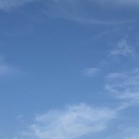 たけ (@esukeesuke1) 's Twitter Profile