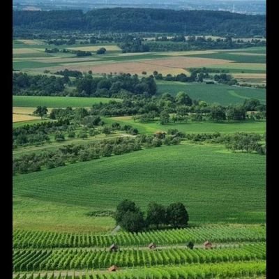 VladMilos's profile picture. Renesansa okultizma