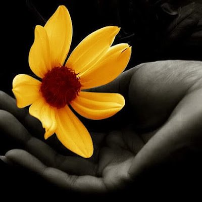 SmartKrist15851's profile picture. 