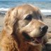 Paul Duncan (@paulduncan67) Twitter profile photo Paul Duncan (@paulduncan67) Twitter profile photo