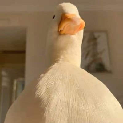 xia_le76232's profile picture. 