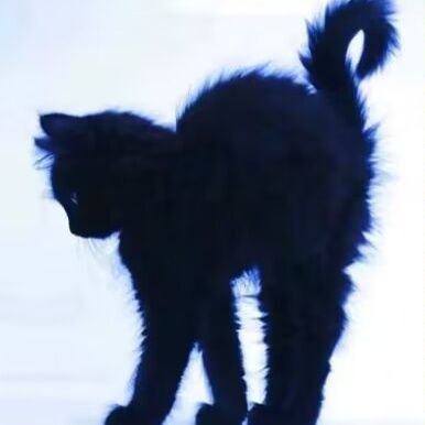 JangWionYoungv's profile picture. 