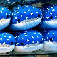 ∠もす💎 (@mo6_st) 's Twitter Profile