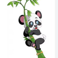 Phanou (@phanou7161751) 's Twitter Profile Photo Phanou (@phanou7161751) 's Twitter Profile Photo