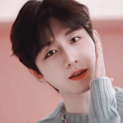 daisyredwines's profile picture. support ChengYi 💚