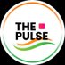 The-Pulse (@thepulseindia) Twitter profile photo The-Pulse (@thepulseindia) Twitter profile photo