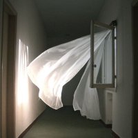 راء (@2ceui) 's Twitter Profile