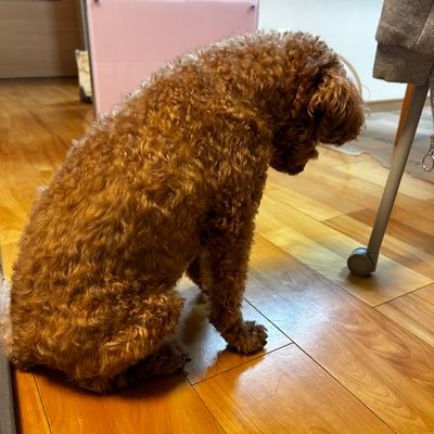 HID1318022's profile picture. 