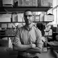 David J Allen (@virologydavid) 's Twitter Profile Photo David J Allen (@virologydavid) 's Twitter Profile Photo