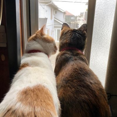 xiofngshyu34869's profile picture. 