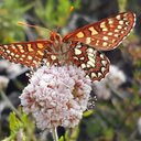 Debbie Shook - @ShookDebb9856 - Twitter