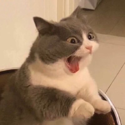 BBEAM129's profile picture. work hard play hard