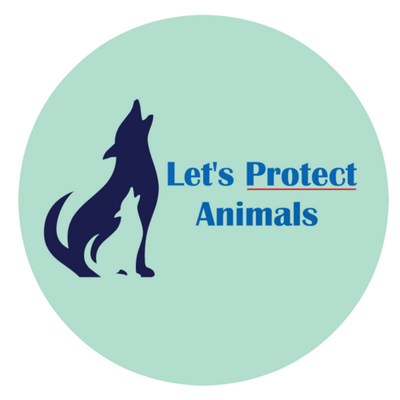 Lets Protect Animals (@LP_Animals) / Twitter